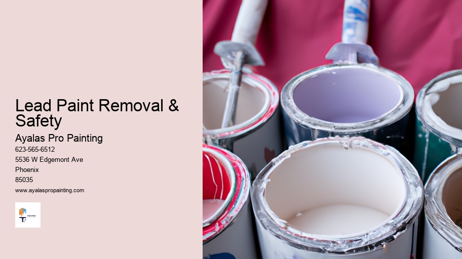 Lead Paint Removal & Safety