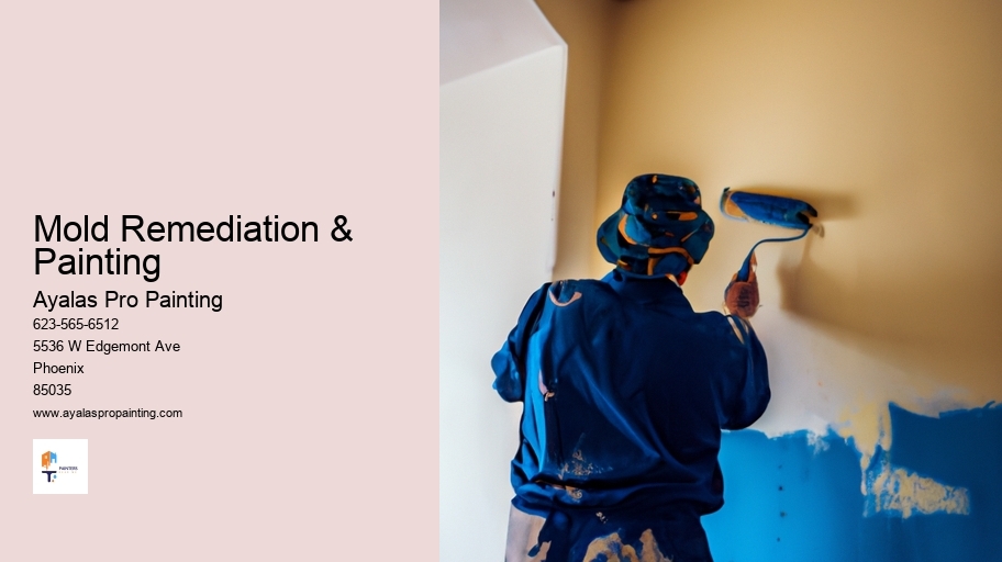 Mold Remediation & Painting